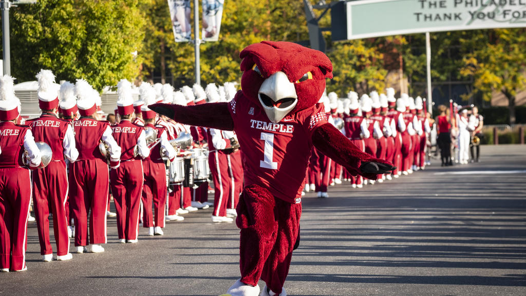 Hooter the Owl